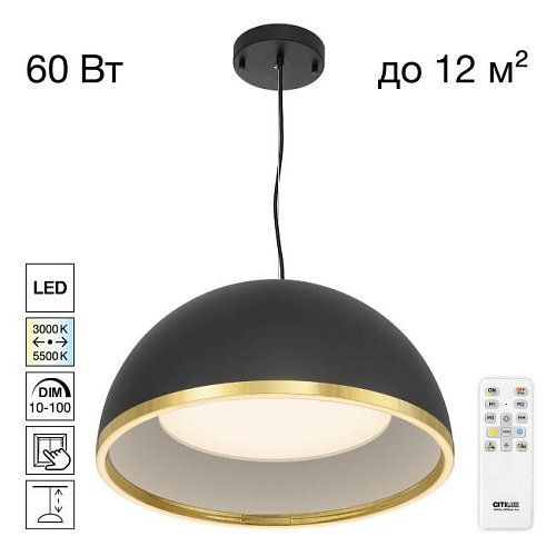 CL736251 Подвесной светильник FLOOM Citilux CL736251