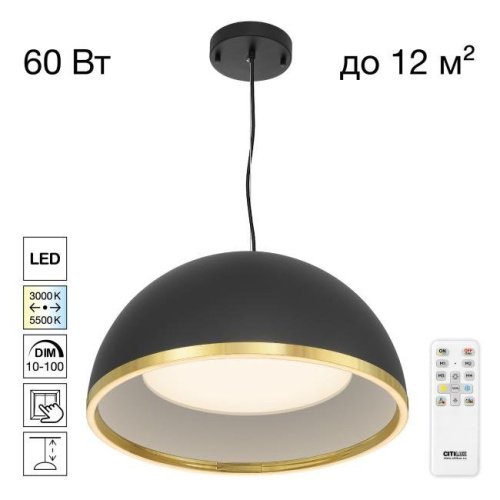 Подвесной светильник FLOOM Citilux CL736251