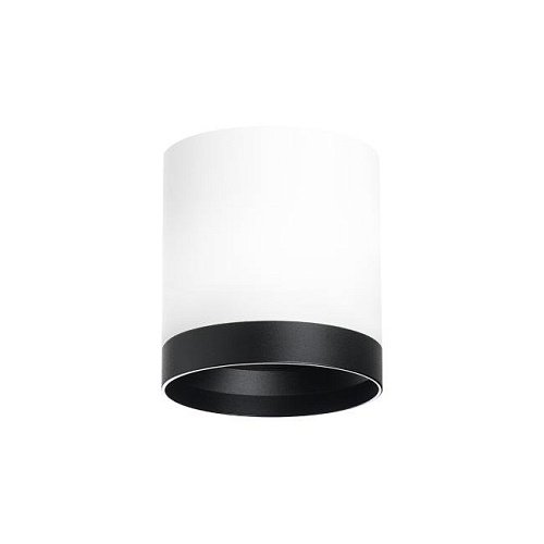 Накладной светильник Lightstar Rullo R34863487