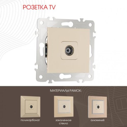 Розетка Arte Milano Am-203 203.43-1.shampan