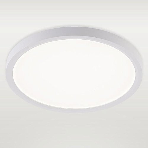 Светильник потолочный Natali Kovaltseva Plain LED LAMPS 81113/2C