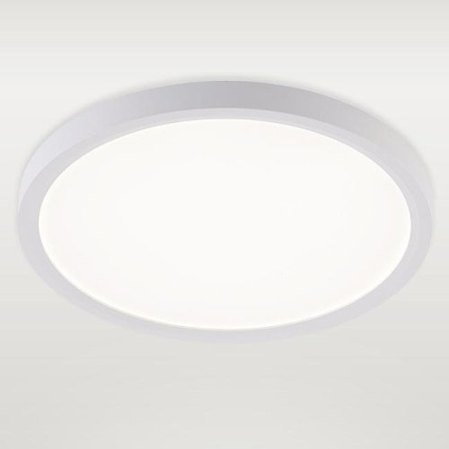 Светильник потолочный Natali Kovaltseva Plain LED LAMPS 81113/2C