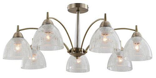 2079-307 Потолочная люстра Rivoli Doreen 2079-307