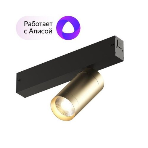 Трековый светильник Denkirs Smart Spot DK8010-BG