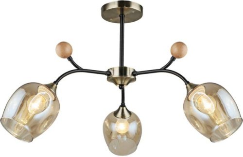 Потолочная люстра 02009-0.3-03 AB+BK