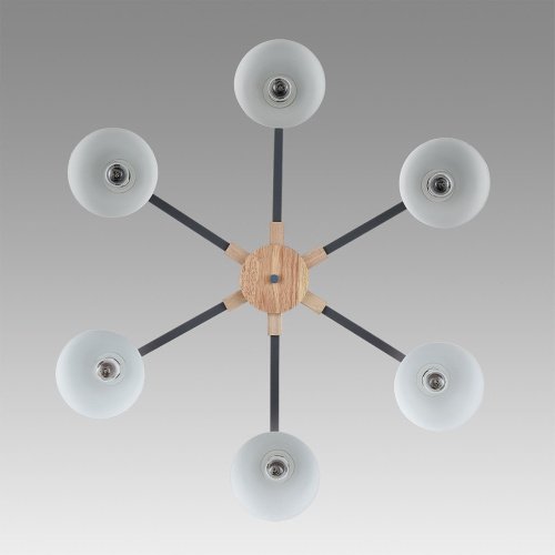 Потолочная люстра Lumion Colange 8096/6C