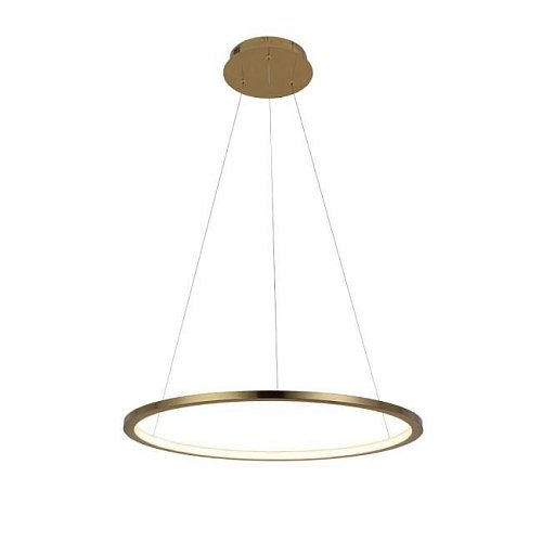 10014M Светильник подвесной Loft It Ring 10014M