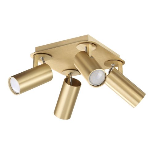 Светильник спот Odeon Light Corse 3876/4C