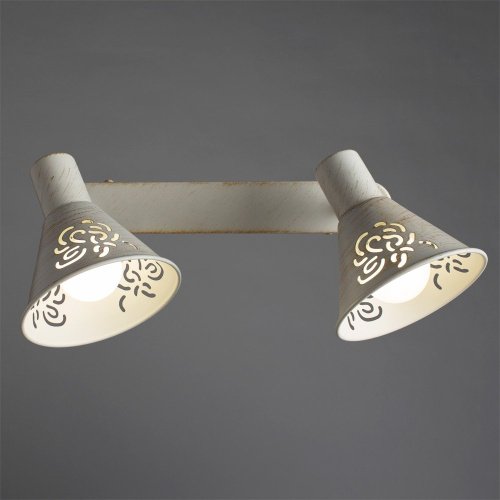Светильник спот Arte Lamp CONO A5218AP-2WG