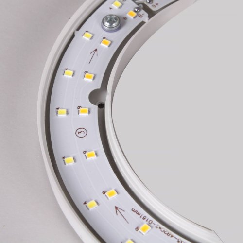 Бра настенное Reluce 79037-0.2-01 FGD