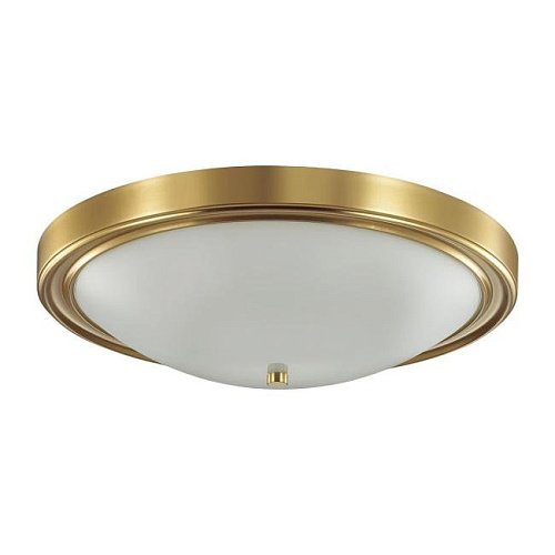 5259/4C Светильник потолочный Lumion Nina 5259/4C