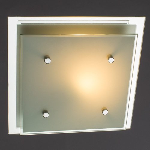 Настенно потолочный светильник Arte Lamp RAPUNZEL A4868PL-1CC