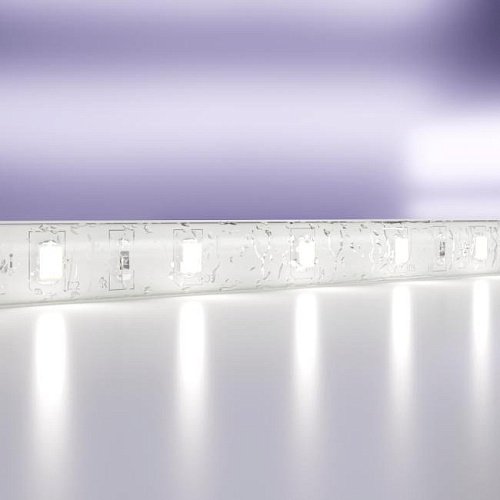 20018 LED лента Maytoni Светодиодная лента 24В 20018