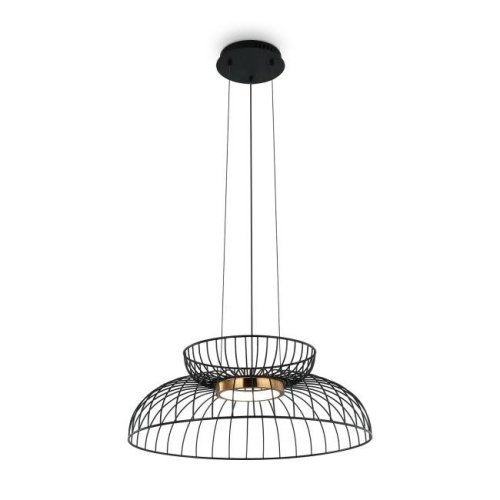 Светильник подвесной Freya Citrus FR5398PL-L6B