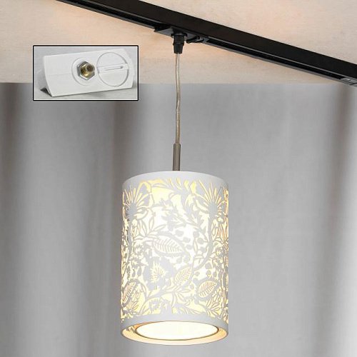 Трековый светильник Lussole Vetere LSF-2306-01-TAW