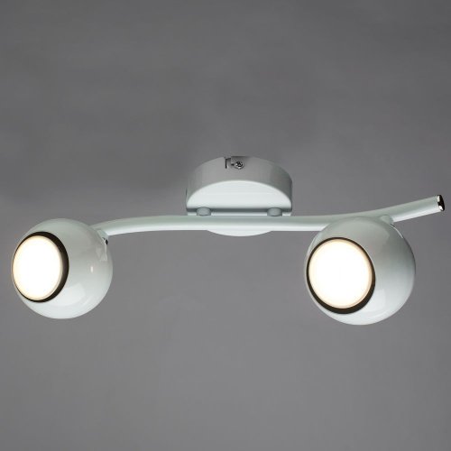 Светильник спот Arte Lamp A6251PL-2WH
