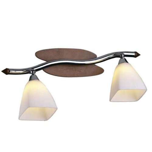 Светильник спот Odeon Light 1976/2W