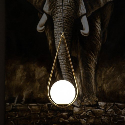 Светильник подвесной L'Arte Luce Luxury Gosca L54505.86
