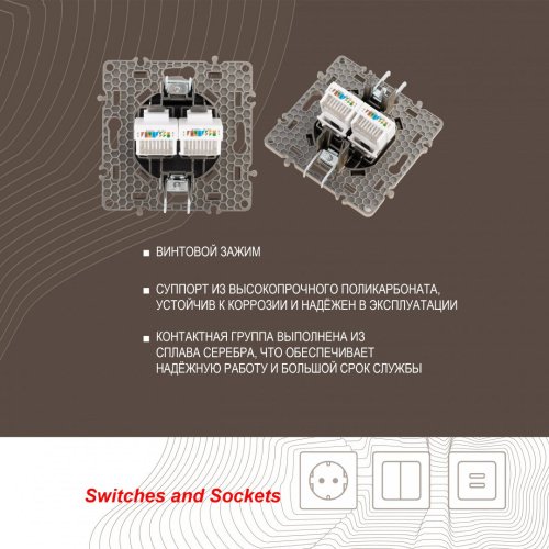 Розетка Arte Milano Am-217 217.45-2.shampan