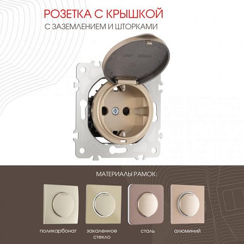 202.41-1.shampan Розетка Arte Milano Am-202 202.41-1.shampan