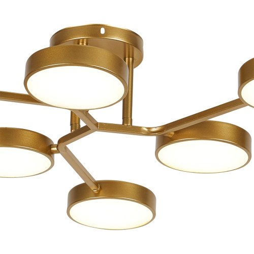 Потолочная люстра Escada 10273/6LED