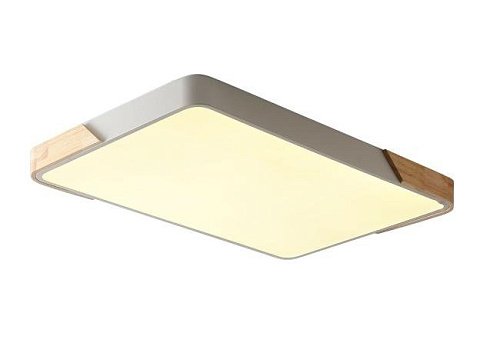 ZRS.01233.60 Светильник потолочный Zortes Alberro ZRS.01233.60