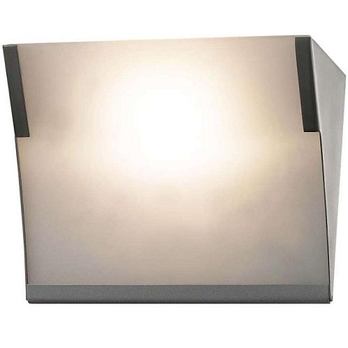 2020/1W Настенно потолочный светильник Odeon Light ANEL 2020/1W