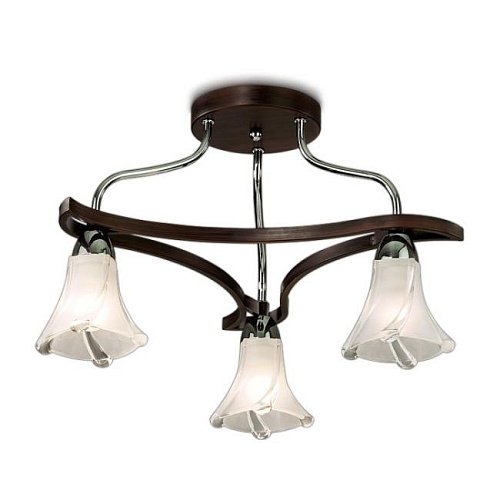 2237/3C Потолочная люстра Odeon Light Iwo 2237/3C