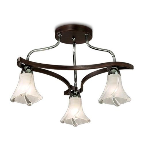 Потолочная люстра Odeon Light Iwo 2237/3C