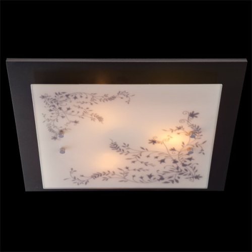 Настенно потолочный светильник Eurosvet 2765 2765/3 венге