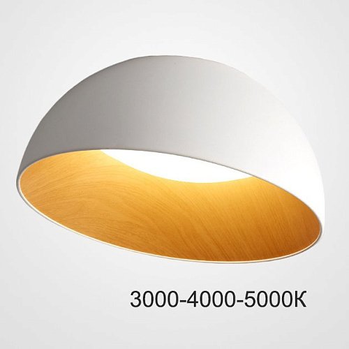 223999-23 Светильник потолочный ImperiumLoft Bara01 223999-23
