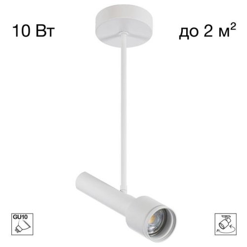 Потолочный спот на штанге VEKTOR Citilux CL51330_BF