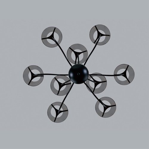 Потолочная люстра Lumion Smoky 6570/9C