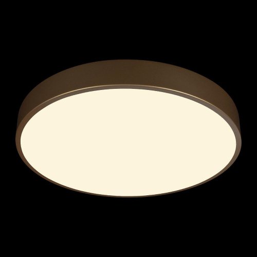 Светильник потолочный Loft It Flims 10228/A