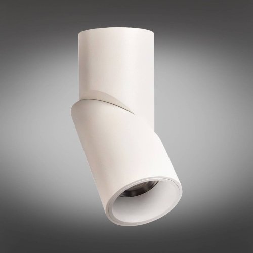 Накладной светильник Omnilux Arlate OML-101809-12