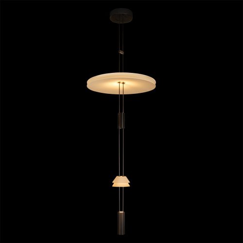 10598C Подвесной светильник Flamingo Loft It 10598C