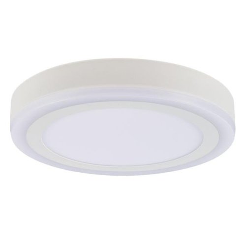 A7824PL-2WH Накладной светильник Arte Lamp Antares A7824PL-2WH