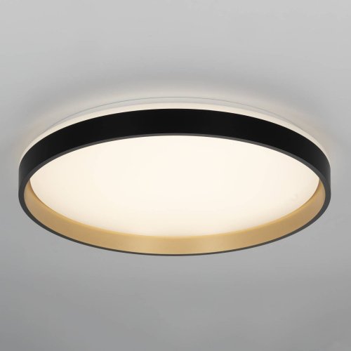 Светильник потолочный Citilux Enzo CL753511G