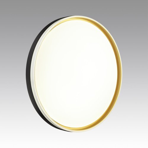 Настенно потолочный светильник Sonex Savi 7619/ELN