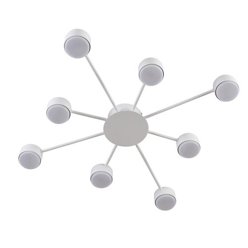 Потолочная люстра Lumion Torina 8343/8C