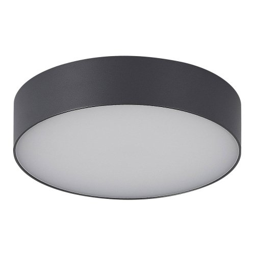 Уличный потолочный светильник ST Luce Sun SL9518.702.01