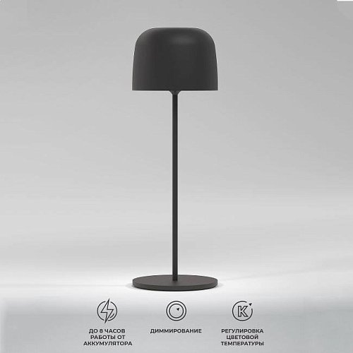 Настольная лампа Elektrostandard Bitty Bitty черный (TL70260)