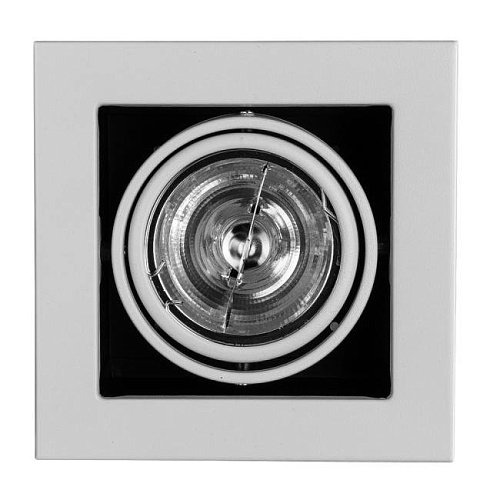 A5930PL-1WH Карданный светильник Arte Lamp Cardani A5930PL-1WH