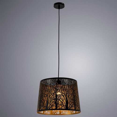 Светильник подвесной Arte Lamp Celesta A2769SP-1BK