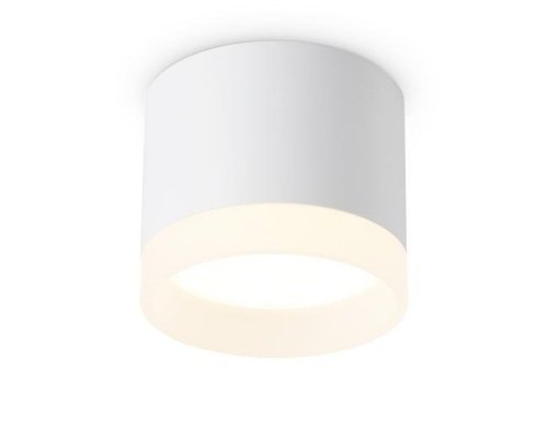 Накладной светильник Ambrella Acrylic Frost TN5365
