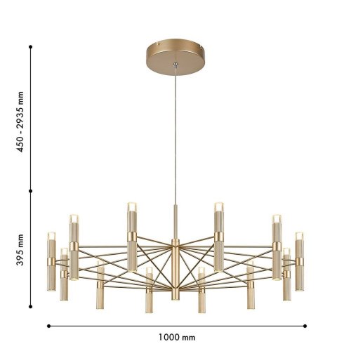 Подвесная люстра Favourite Blick 4759-12P