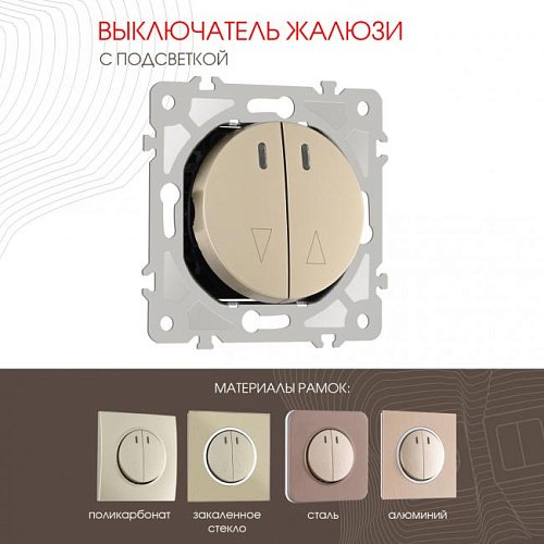 202.39-2.shampan Выключатель Arte Milano Am-202 202.39-2.shampan