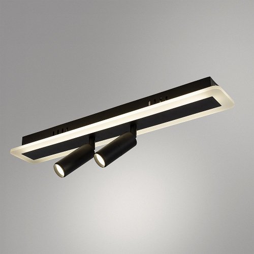 Светильник спот Arte Lamp Tommy A2607PL-22BK