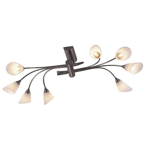 1373/8 Потолочная люстра Odeon Light Hedys 1373/8
