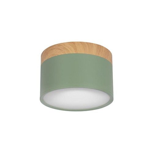 Накладной светильник Loft It Grape 10162 Green